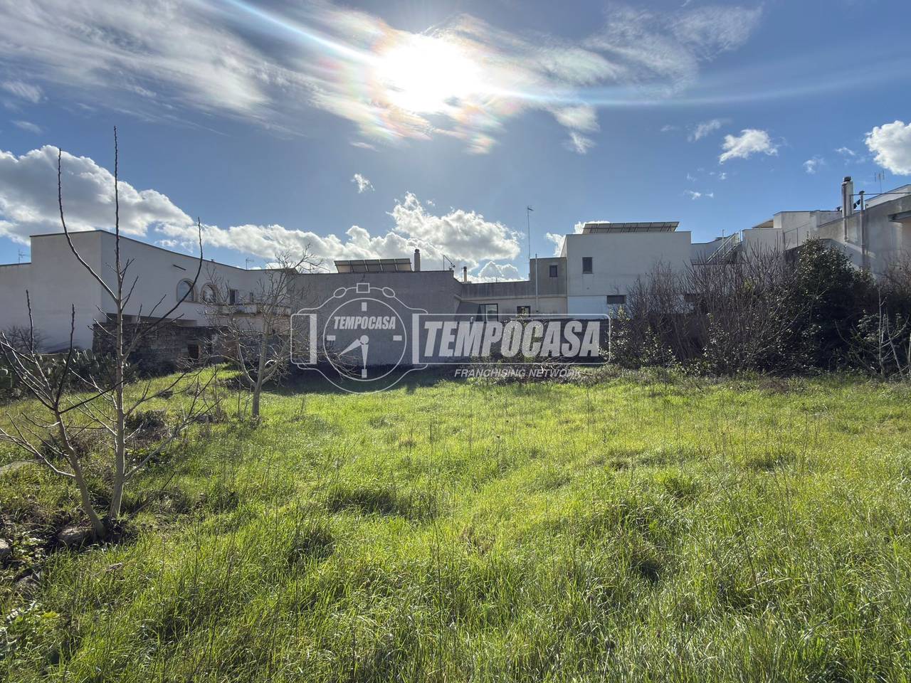 immagine annuncio 7 di 14