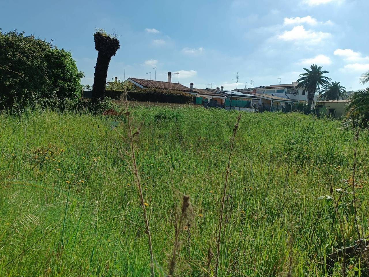 immagine annuncio 4 di 12