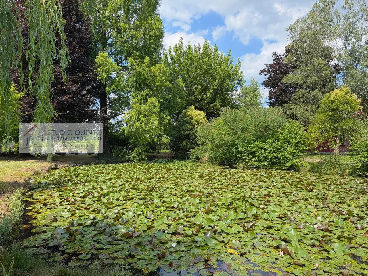 Azienda agricola in , Quinto Di Treviso, {3} - Foto 2