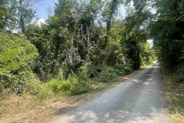insertion image