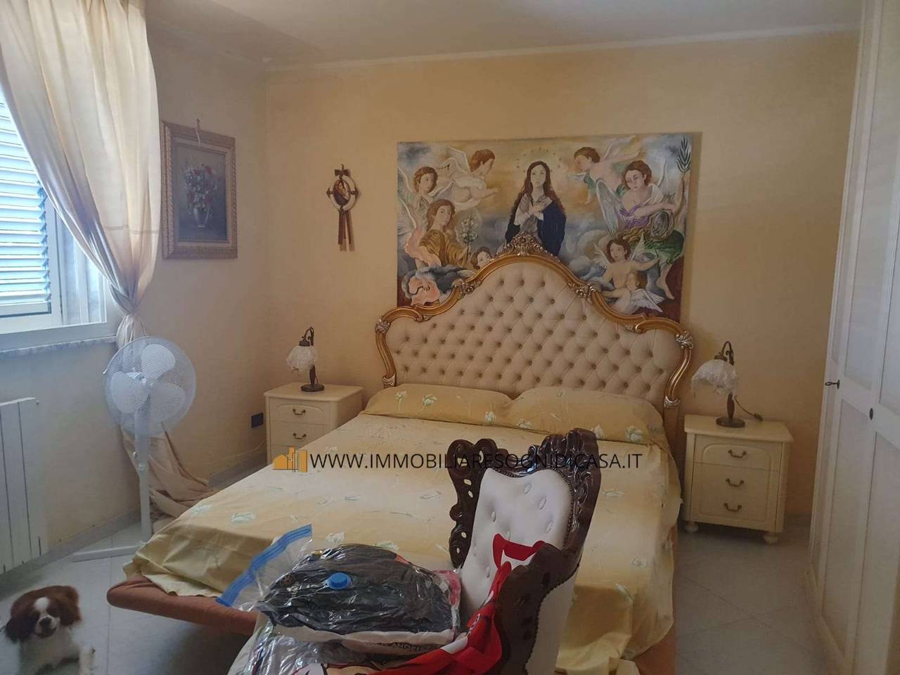 immagine annuncio 9 di 12