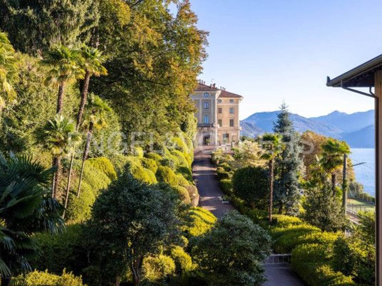 immagine annuncio 11 di 13