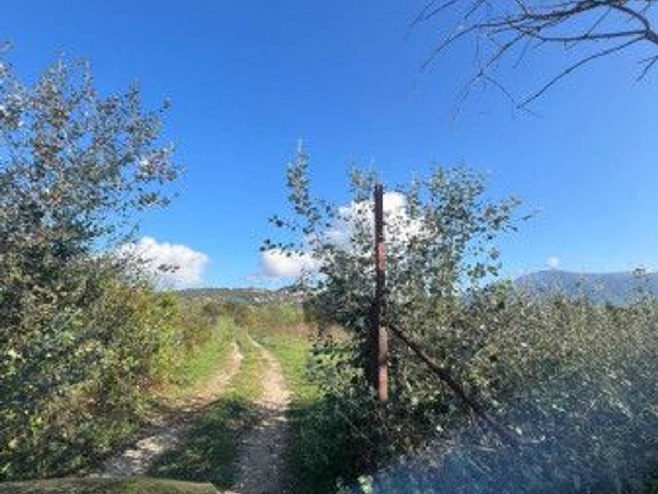 immagine annuncio 2 di 6