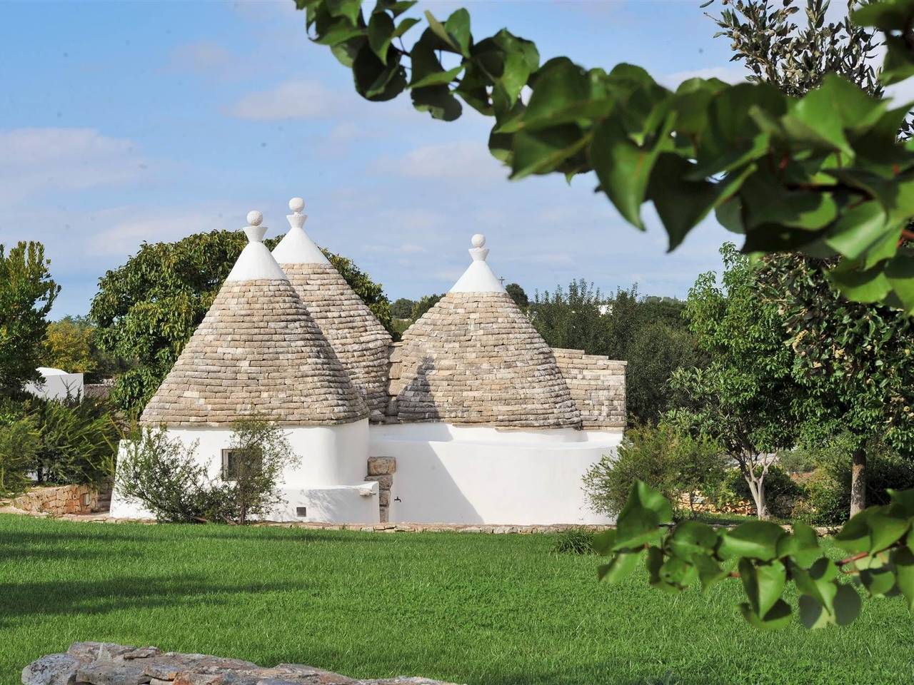 immagine annuncio 11 di 15