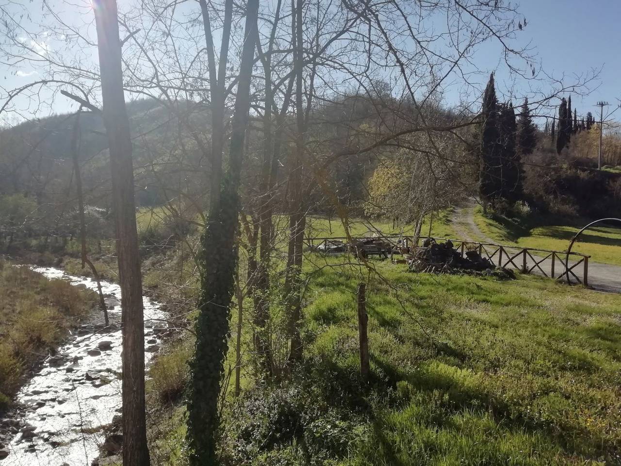 immagine annuncio 1 di 12