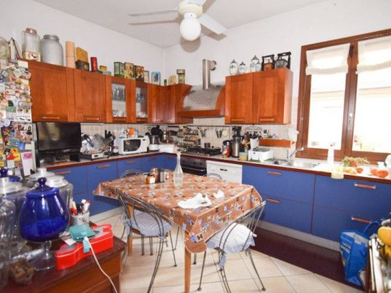 immagine annuncio 6 di 14