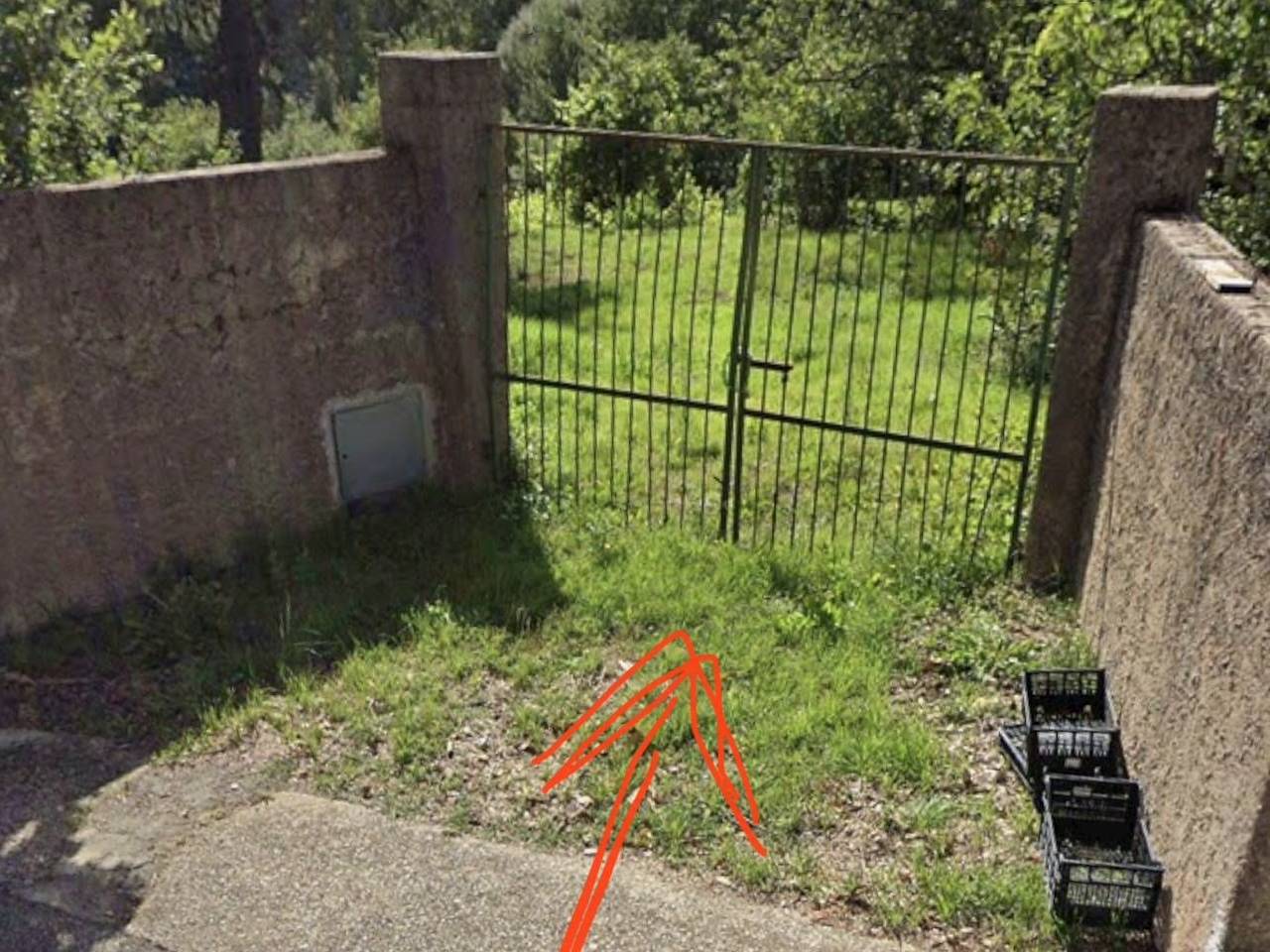 immagine annuncio 3 di 10