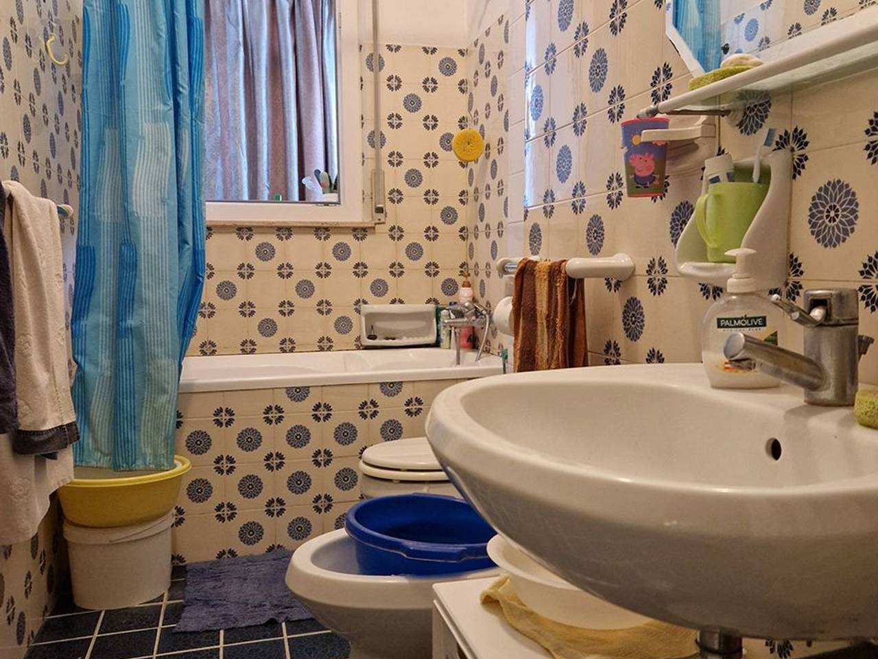 immagine annuncio 2 di 12