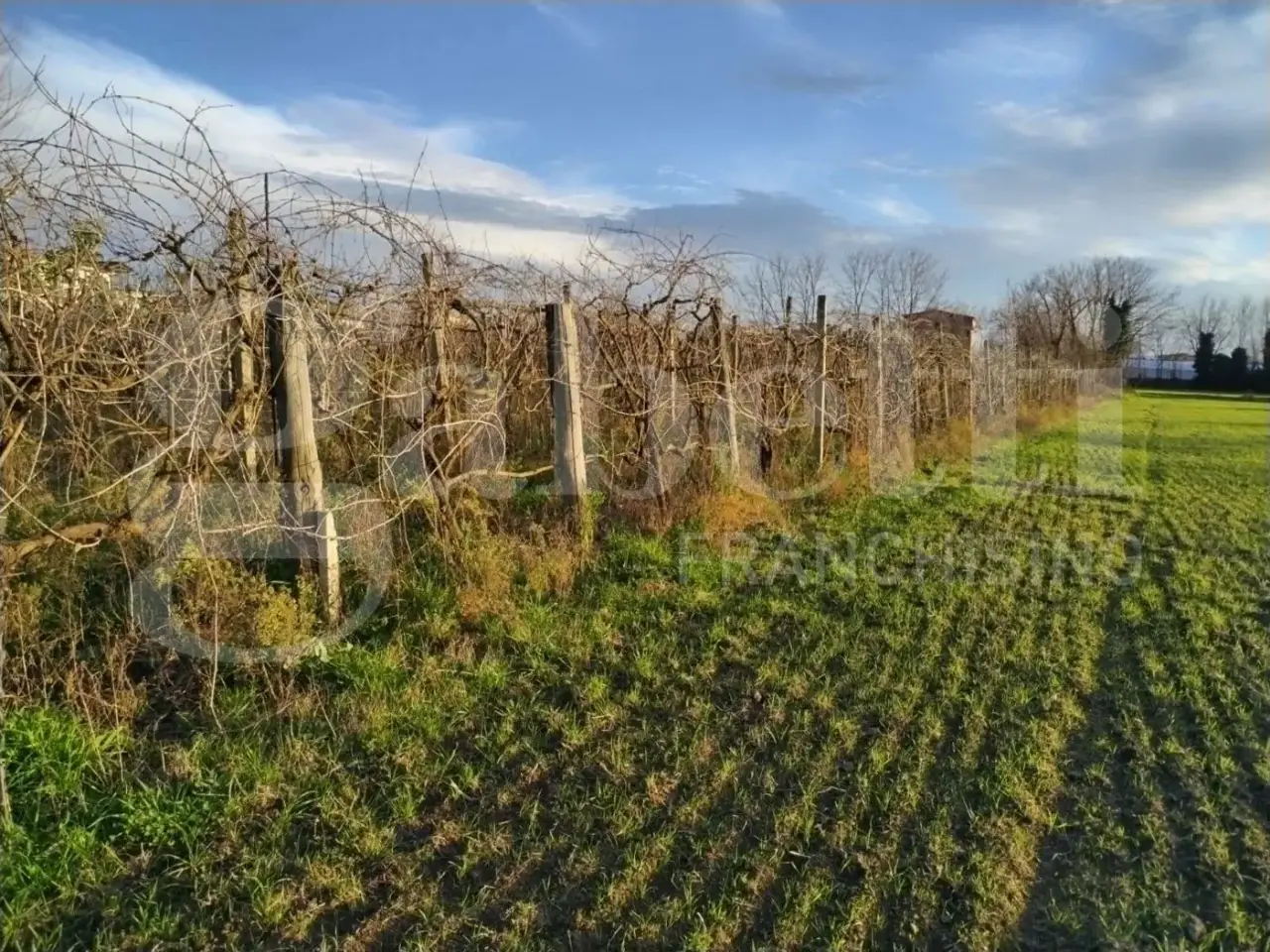 Terreno agricolo in Contrada Limitone 10, Sant'Antimo - Planimetria 1