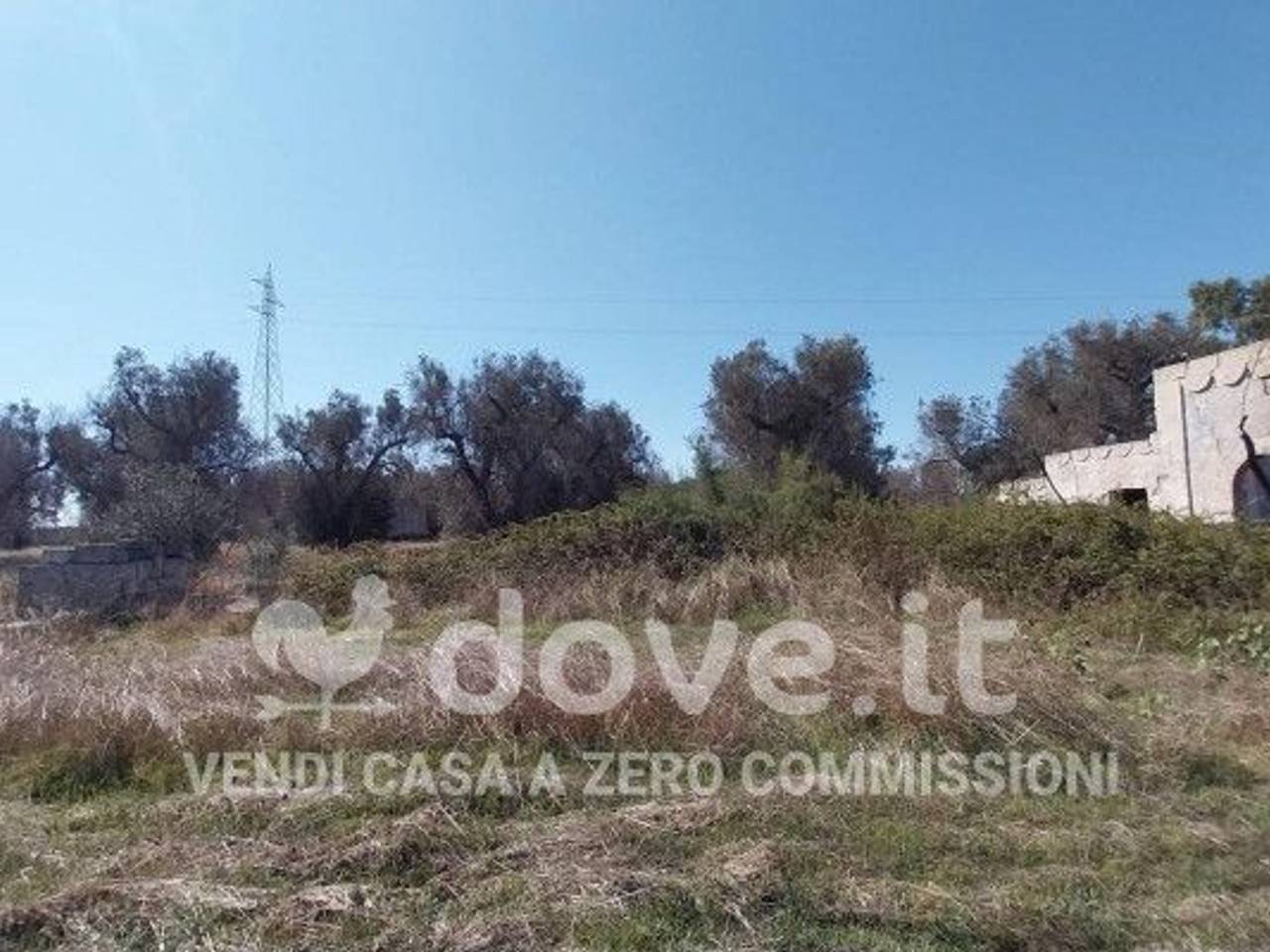 immagine annuncio 2 di 11