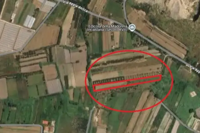 insertion image