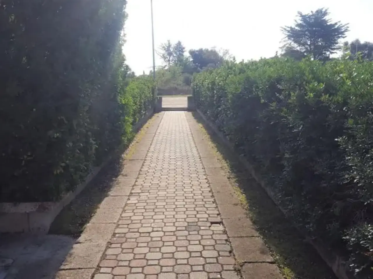 Impianto sportivo in , Sassari, {3} - Foto 1