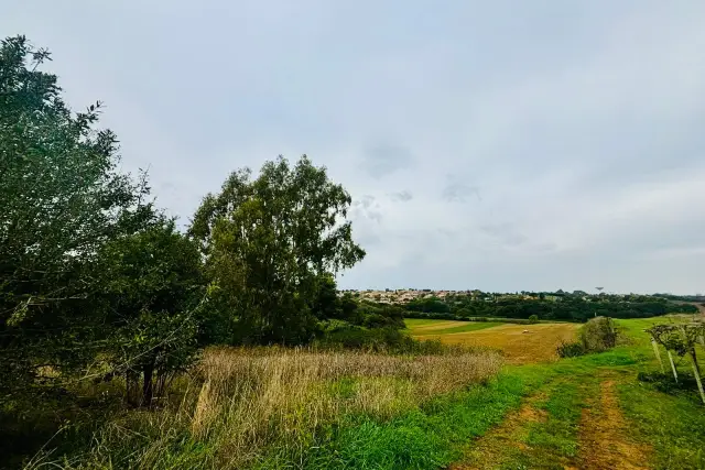 Terreno agricolo in Via delle Scalette, Ardea - Foto 1