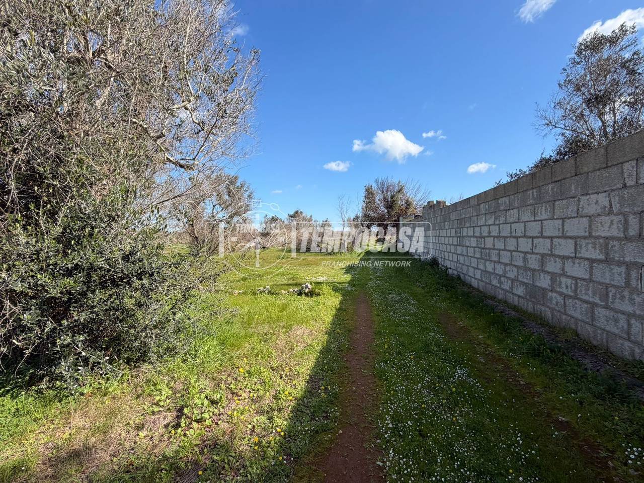 immagine annuncio 7 di 11