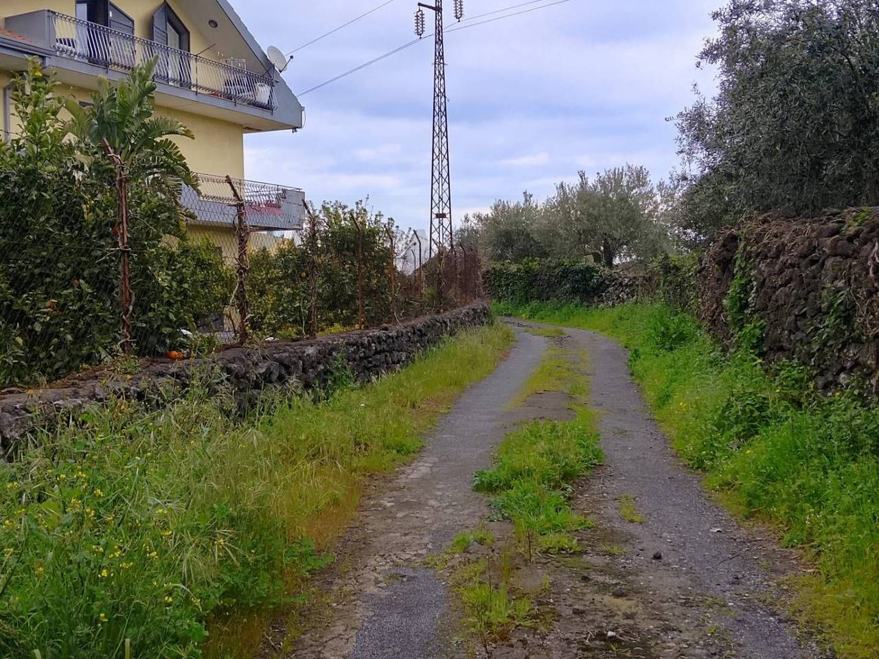 immagine annuncio 1 di 7