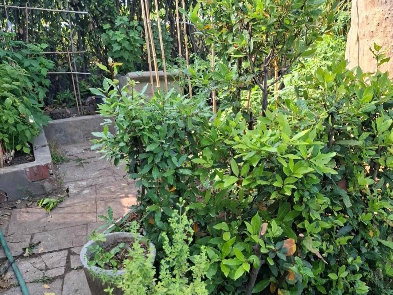 immagine annuncio 7 di 8