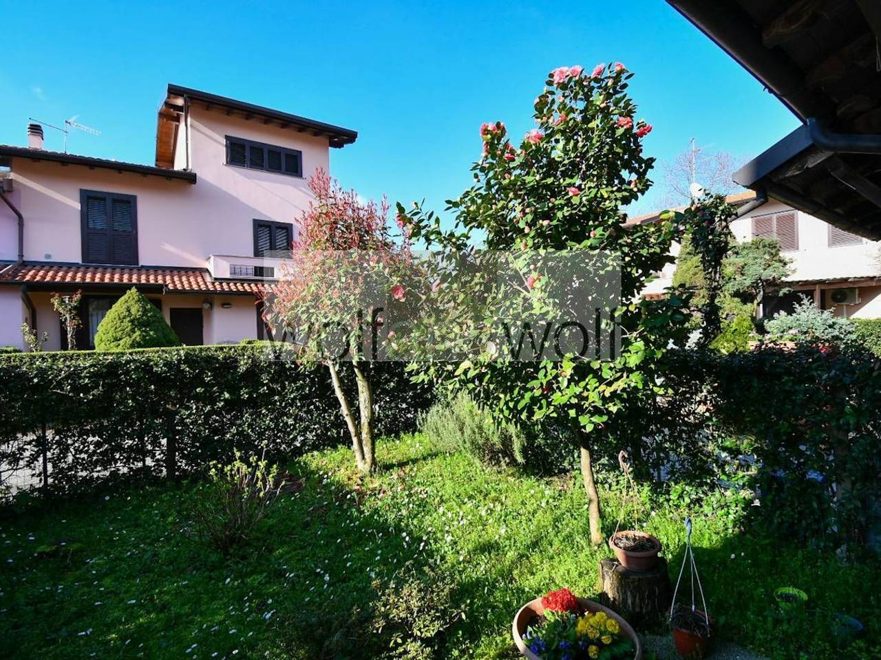 immagine annuncio 1 di 15