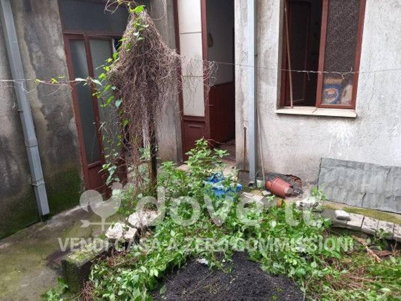 immagine annuncio 4 di 8