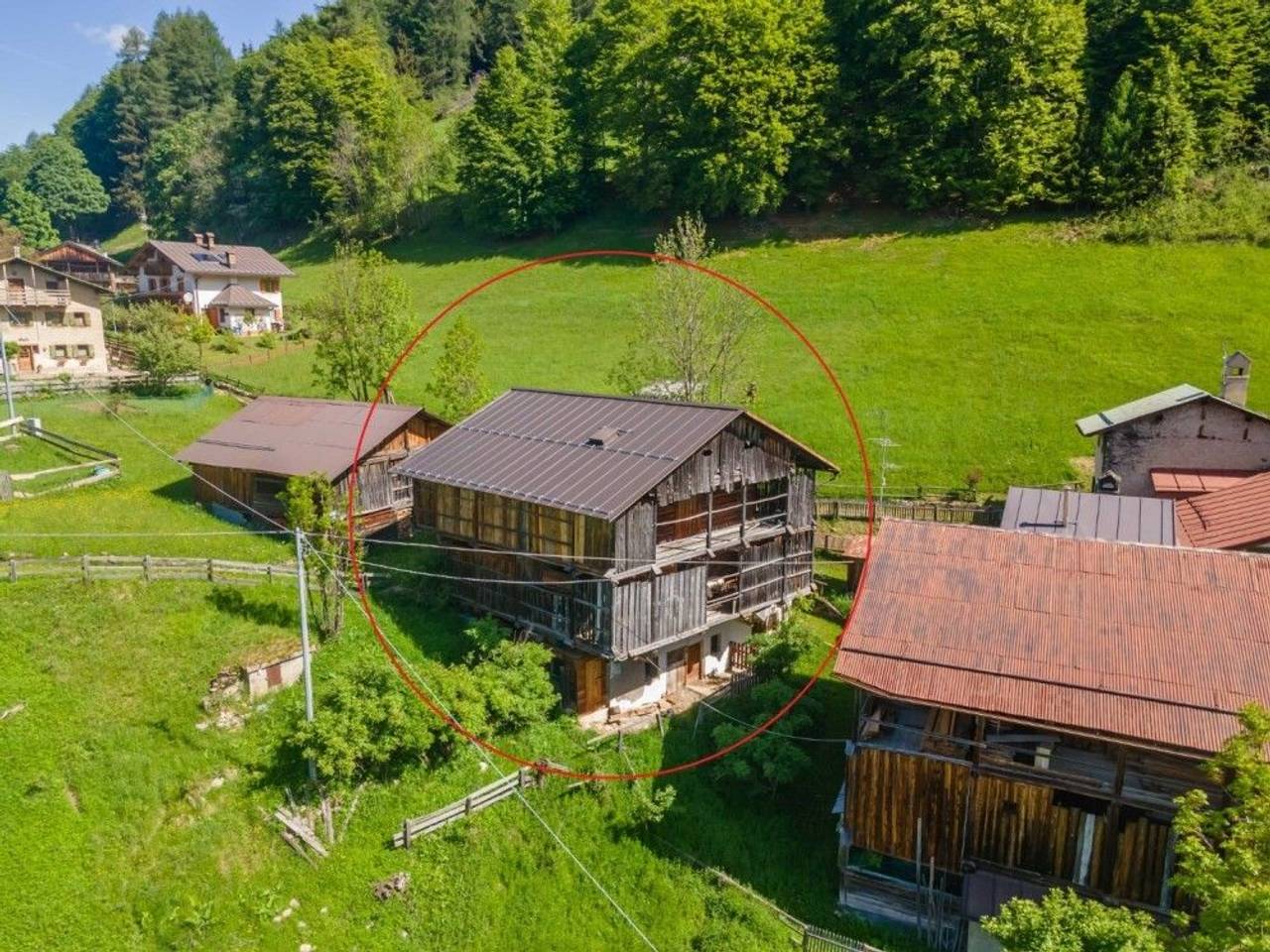 immagine annuncio 9 di 11