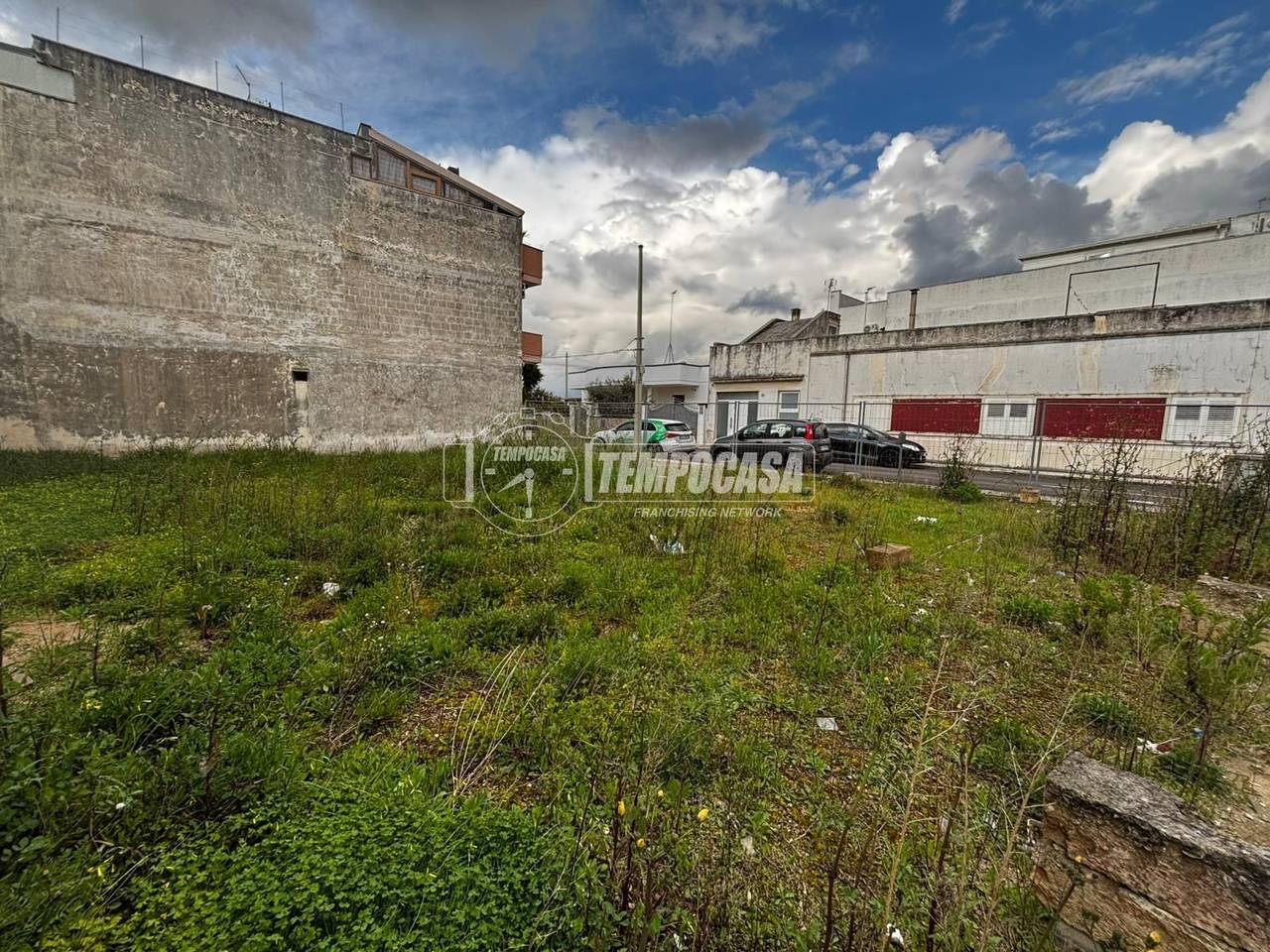 immagine annuncio 10 di 12