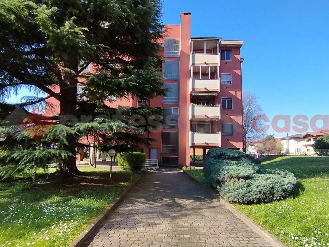 immagine annuncio 1 di 7