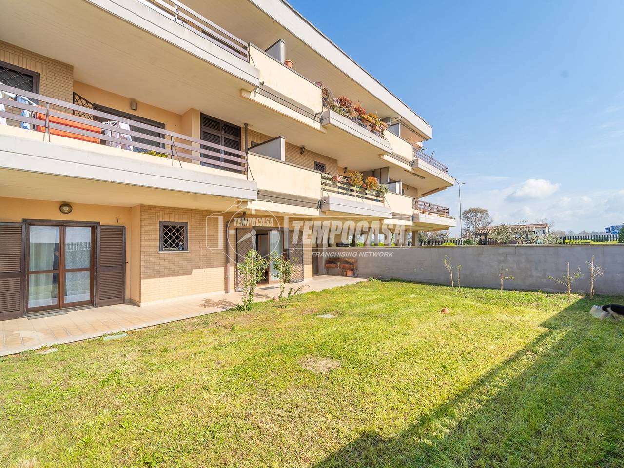 immagine annuncio 12 di 15