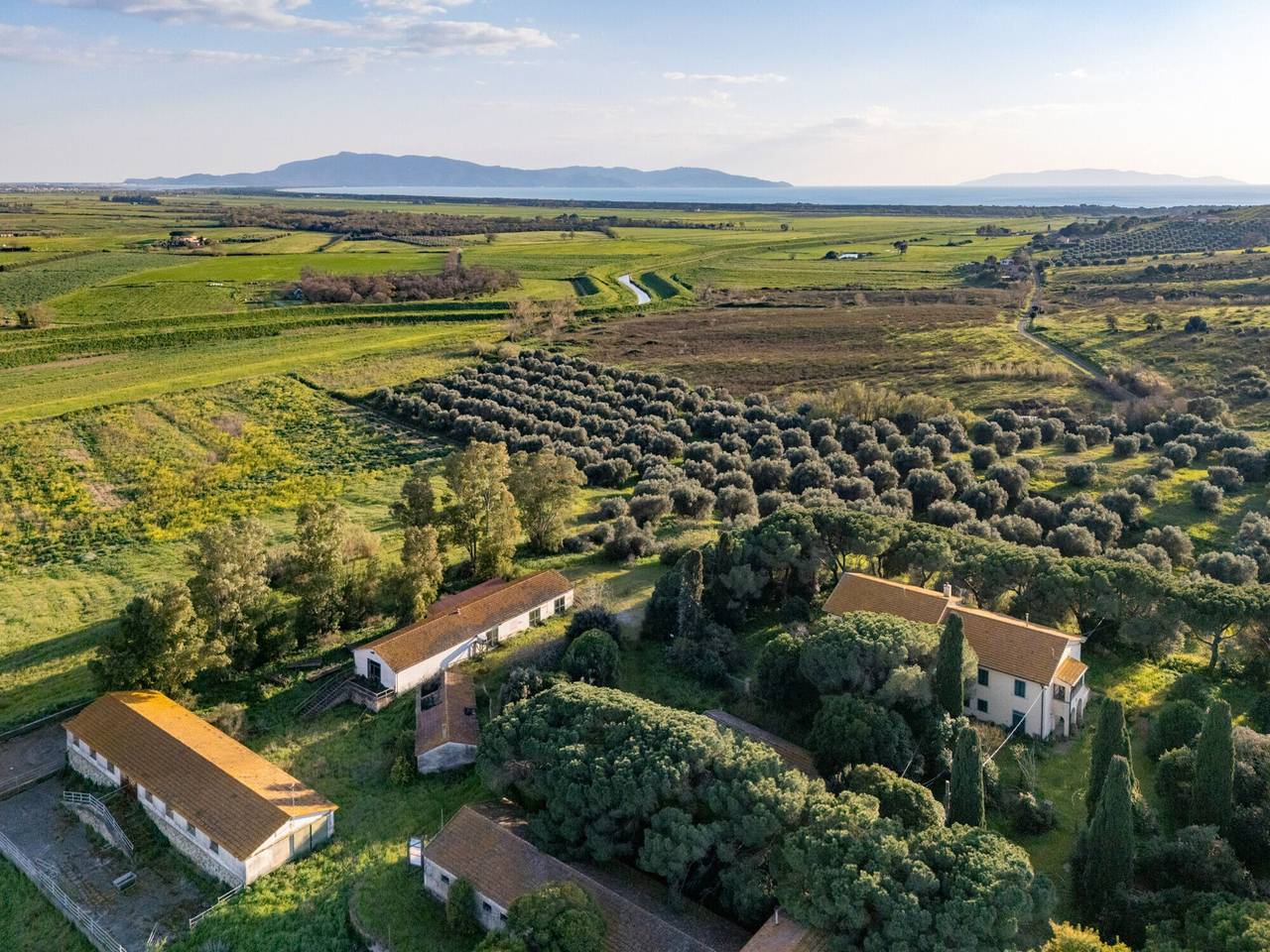 immagine annuncio 7 di 13