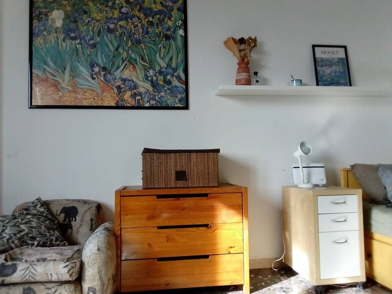 immagine annuncio 4 di 11