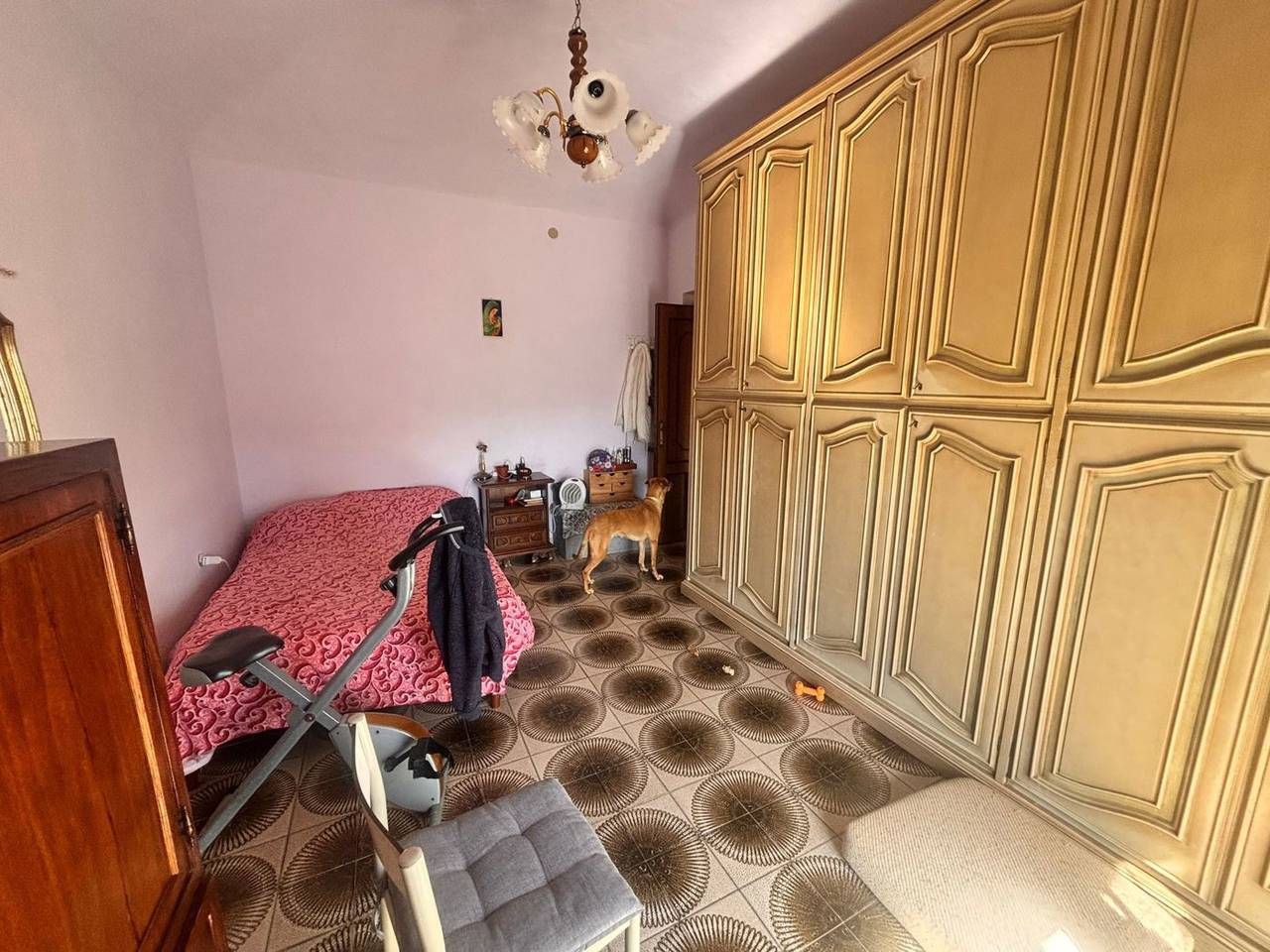 immagine annuncio 7 di 11