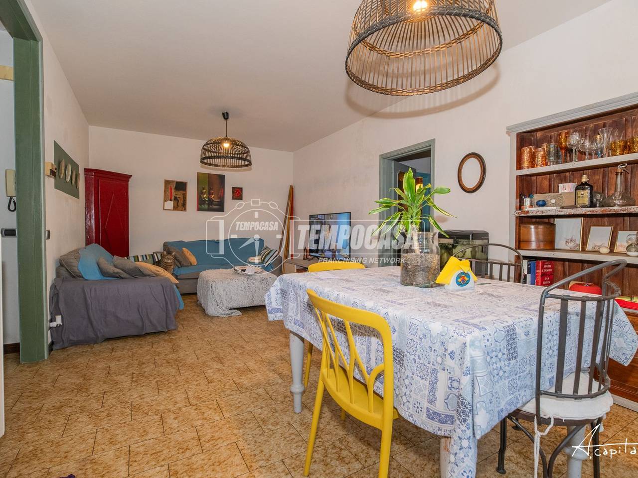 immagine annuncio 4 di 15