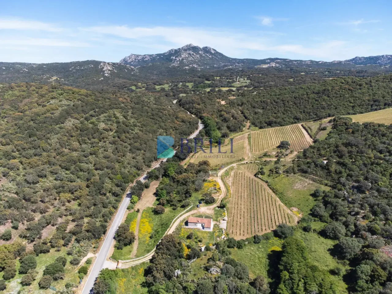 Azienda agricola in , Sant'Antonio di Gallura, {3} - Foto 1