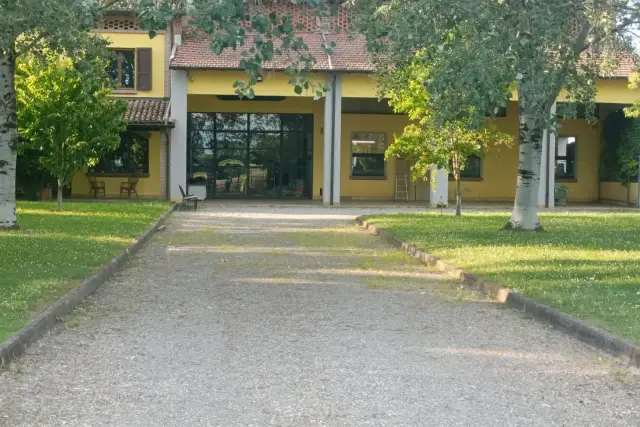 insertion image