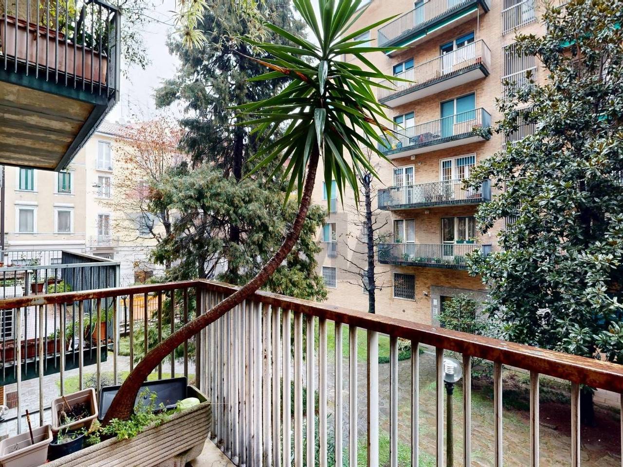 immagine annuncio 12 di 15