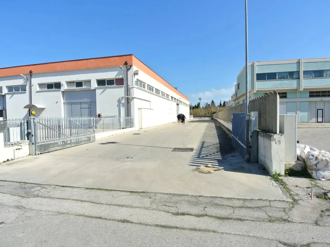 Magazzino in , Silvi, {3} - Foto 2