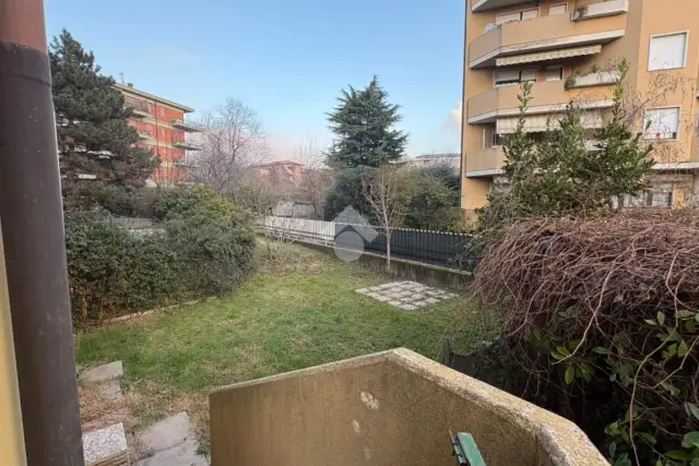 insertion image
