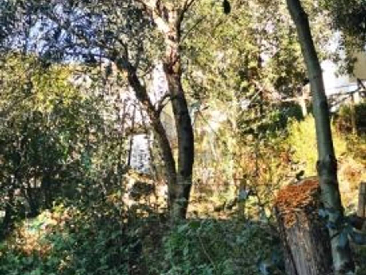 immagine annuncio 5 di 7