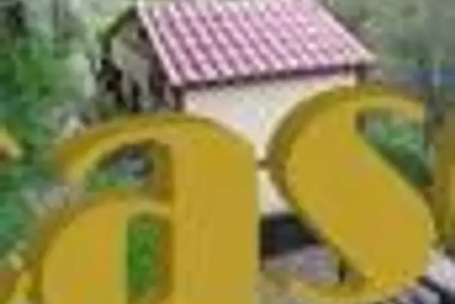 insertion image