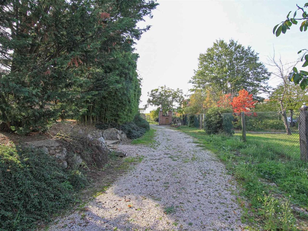 immagine annuncio 3 di 14