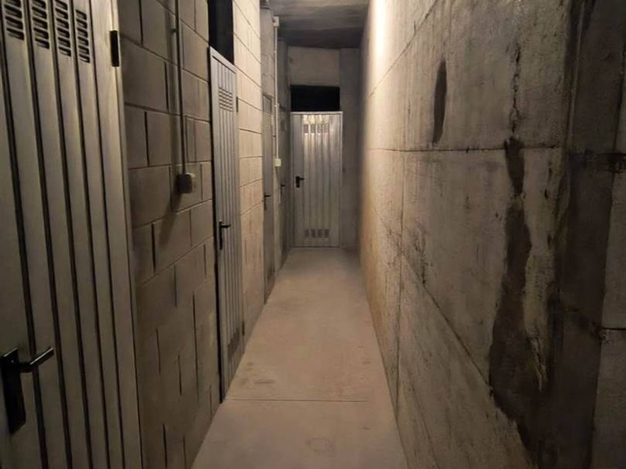 immagine annuncio 9 di 11
