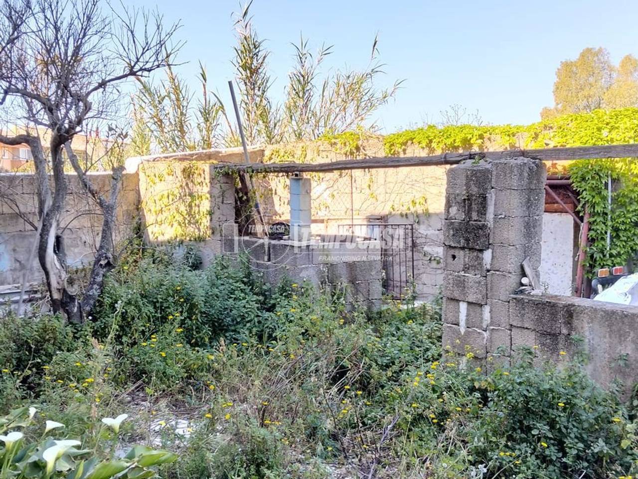 immagine annuncio 11 di 14