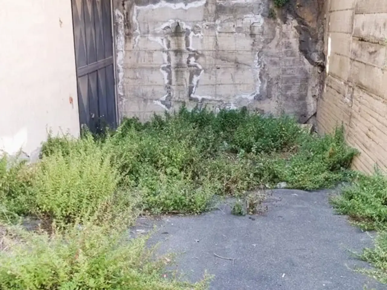 Magazzino in Via Passo Gravina 184/a, Catania, {3} - Foto 2