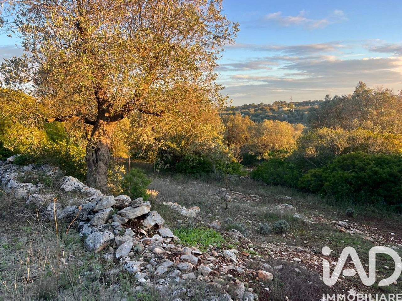 immagine annuncio 8 di 11