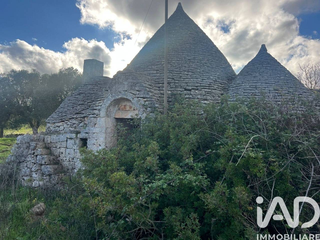 immagine annuncio 4 di 10