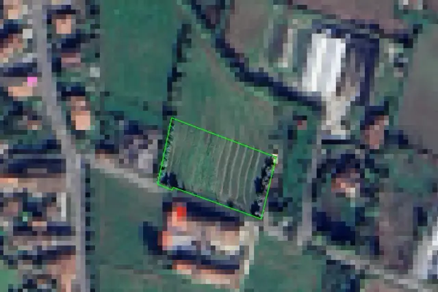 insertion image