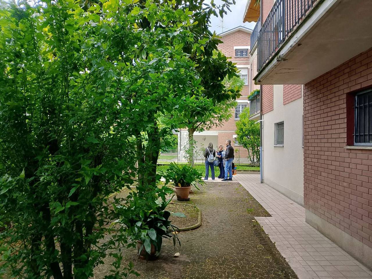 immagine annuncio 6 di 15