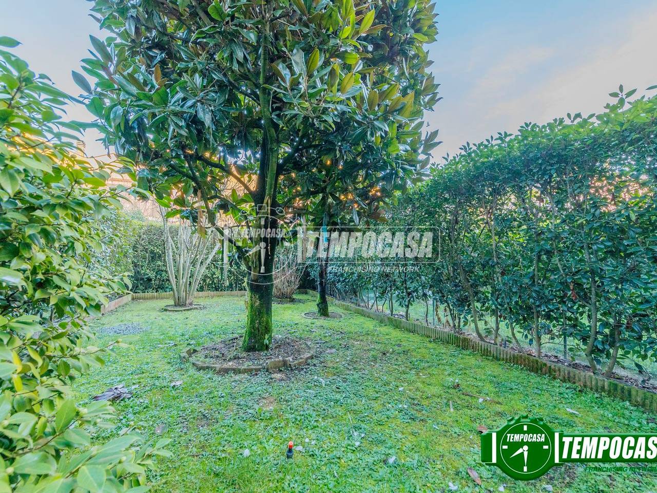 immagine annuncio 3 di 14