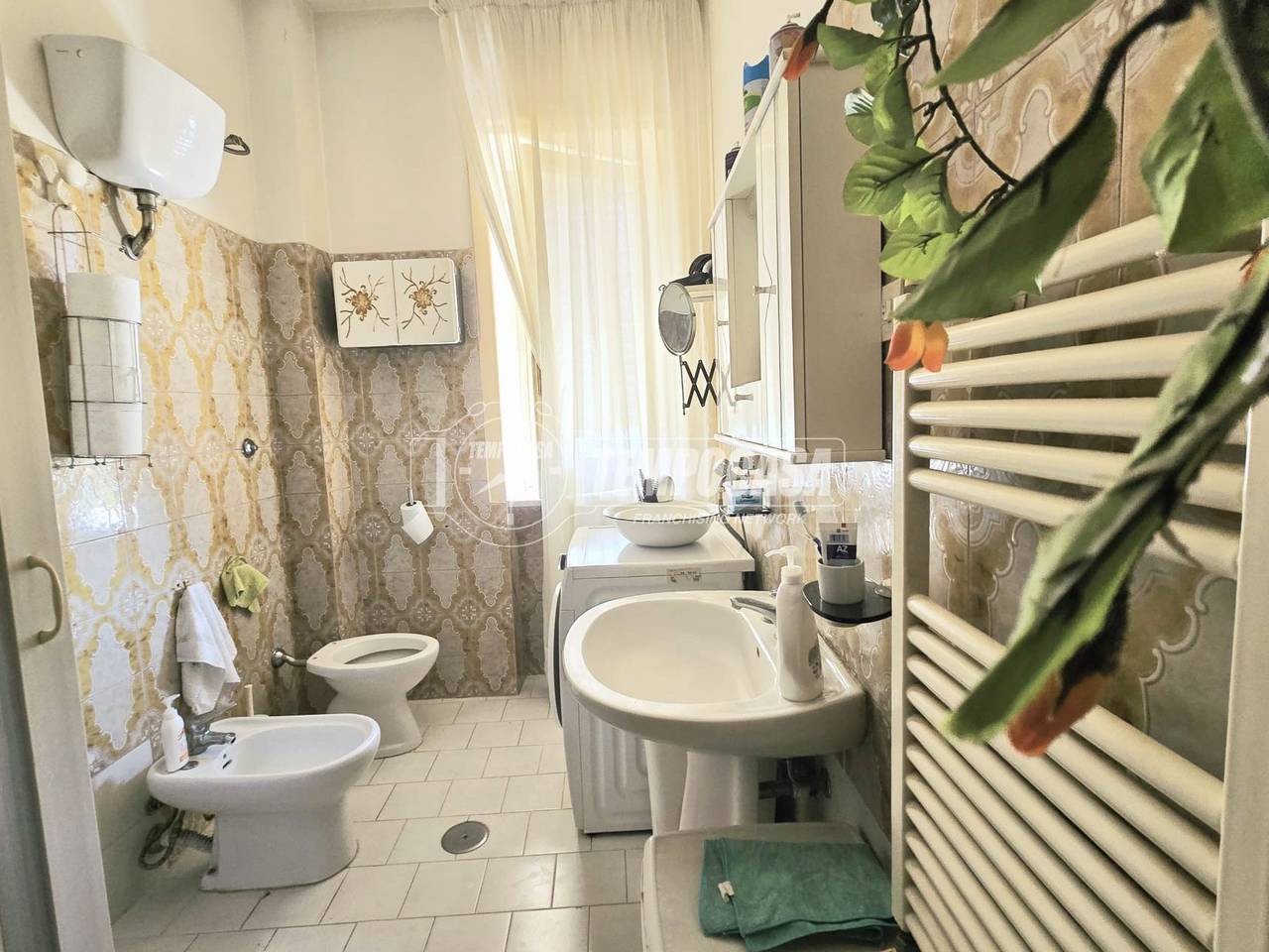 immagine annuncio 4 di 14