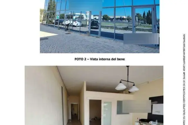 insertion image