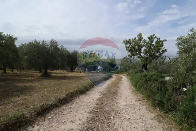 insertion image