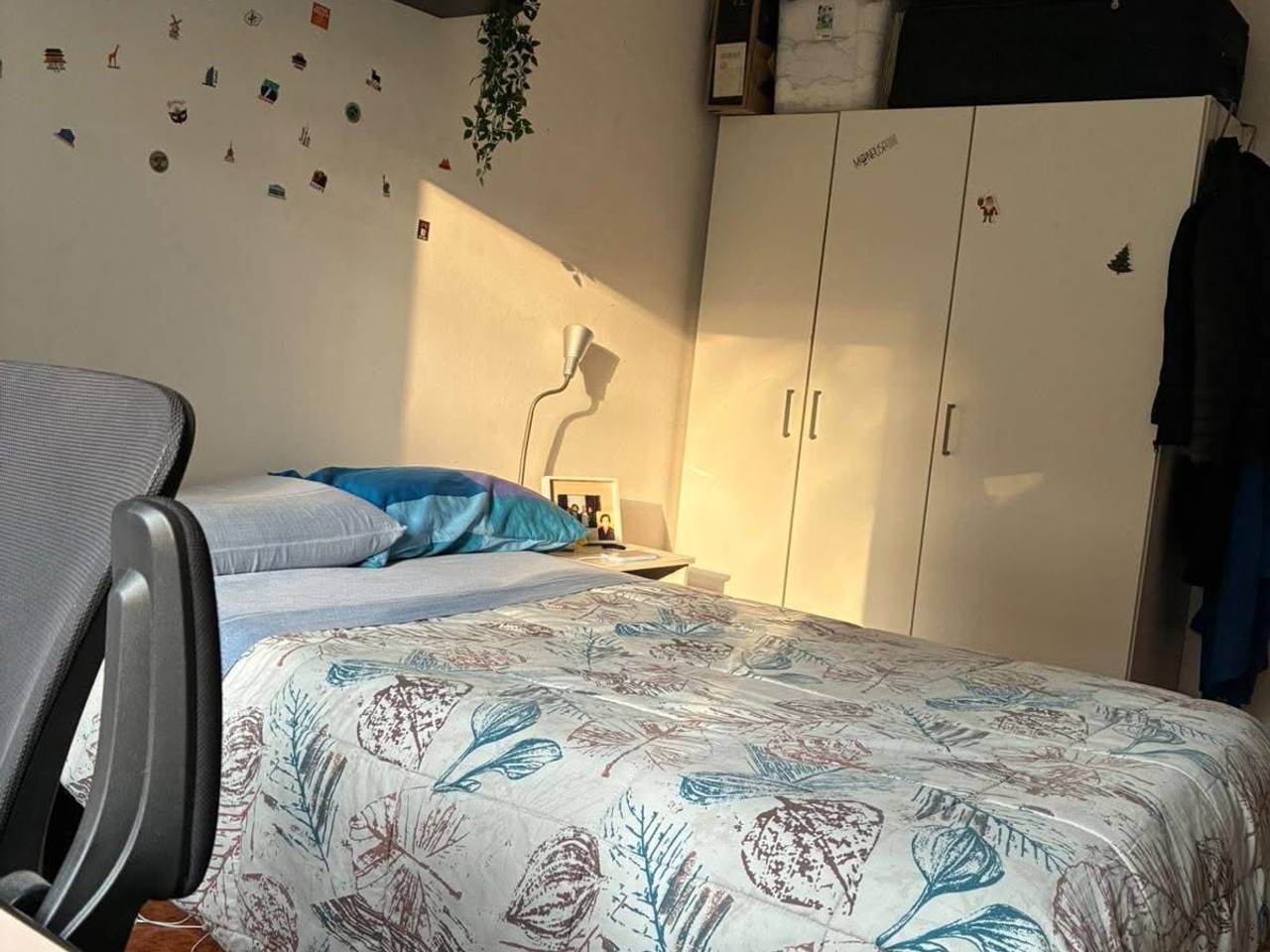 immagine annuncio 1 di 6